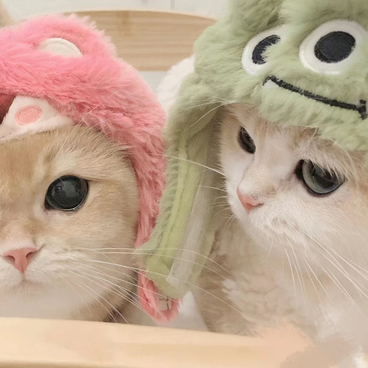 最新版